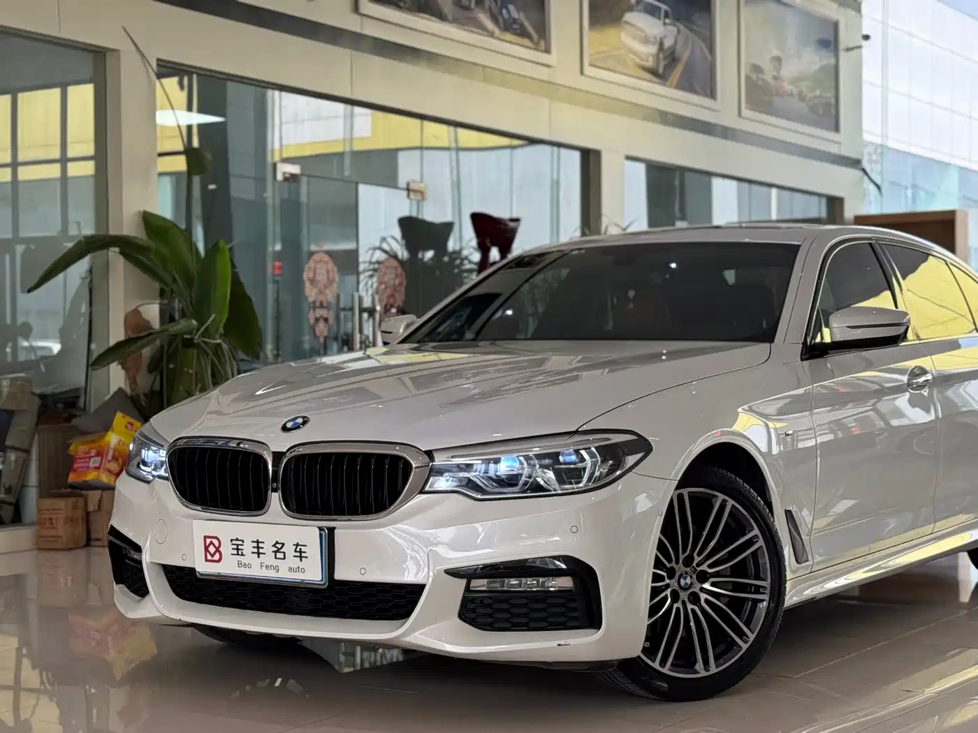BMW 5 Series 2018 Facelift 530Li Exclusive M Sport Package фото 15