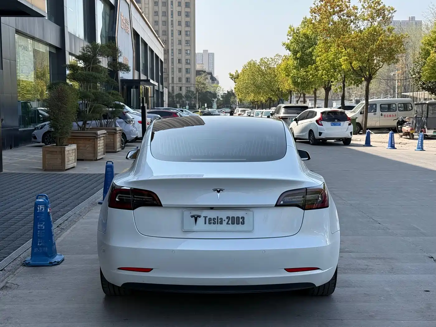 TESLA MODEL 3