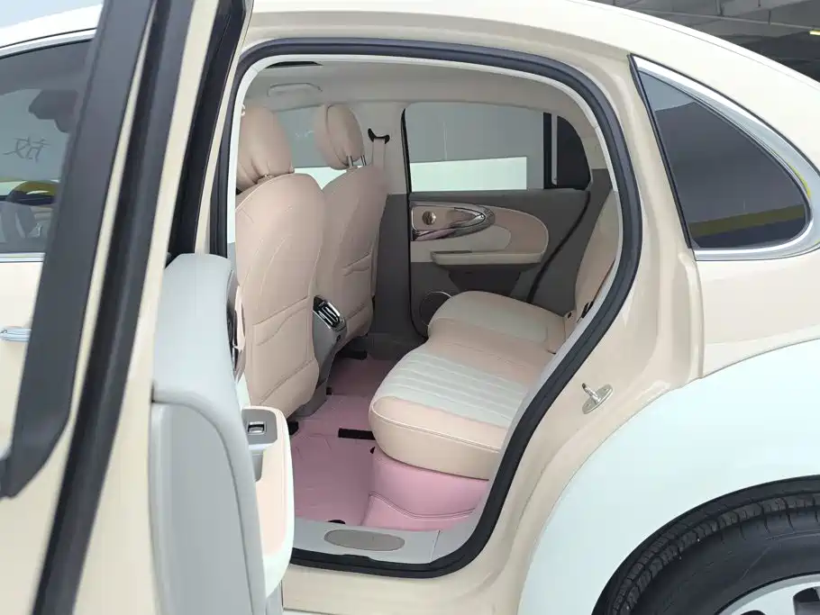 Ora Ballet Cat 2024 2023 401km Premium Model