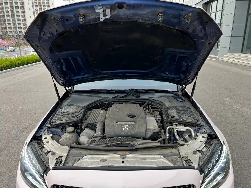 Mercedes-Benz C-Class 2018 C 200 L Sport Edition фото 16