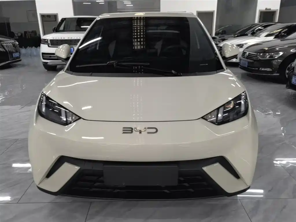 BYD Seagull 2024 Glory Edition 305km Vitality Edition фото 3