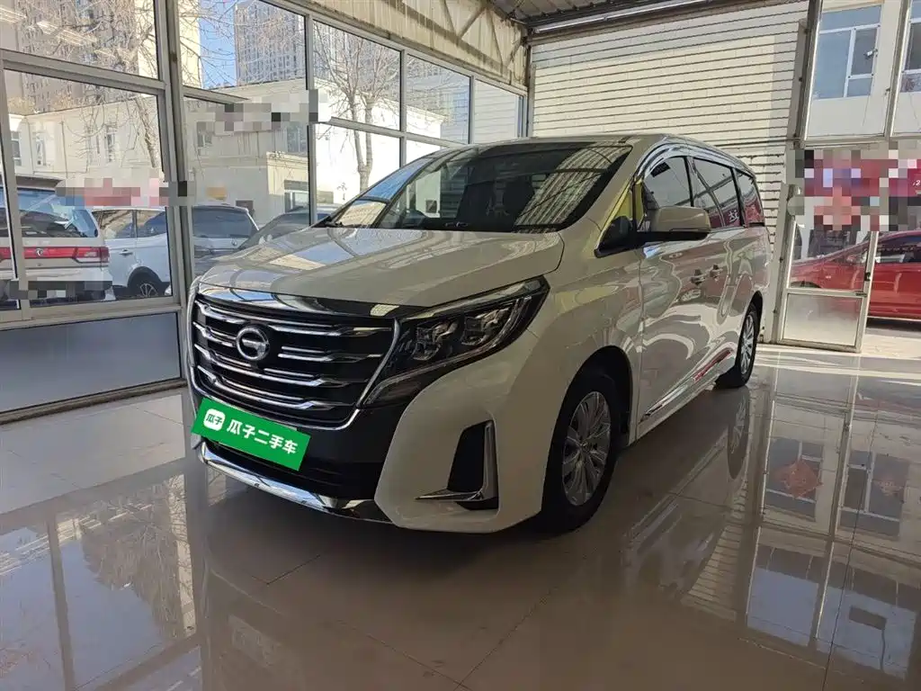 GAC Trumpchi M8 2020 Pilot 390T Premium Edition