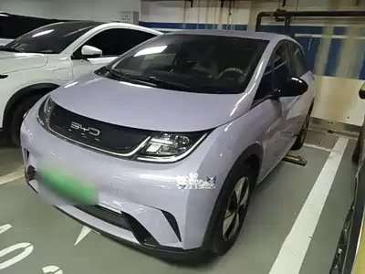 BYD Dolphin