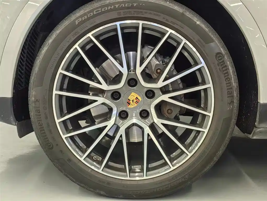Porsche Cayenne 2022 Cayenne 3.0T Platinum Edition фото 16