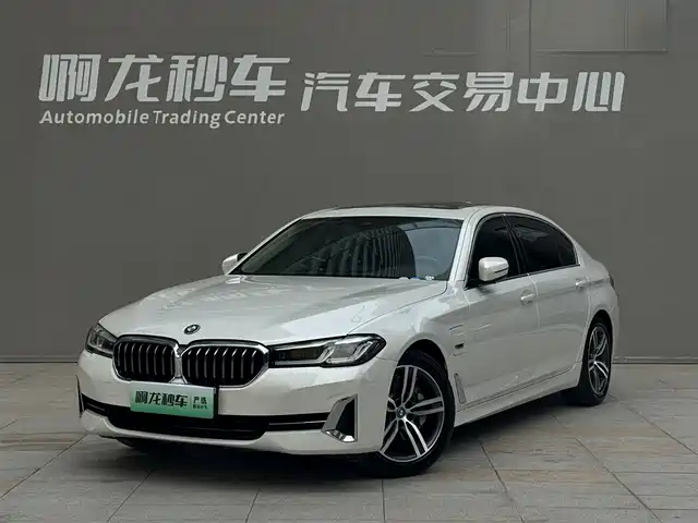 bmw 5-series-new-energy