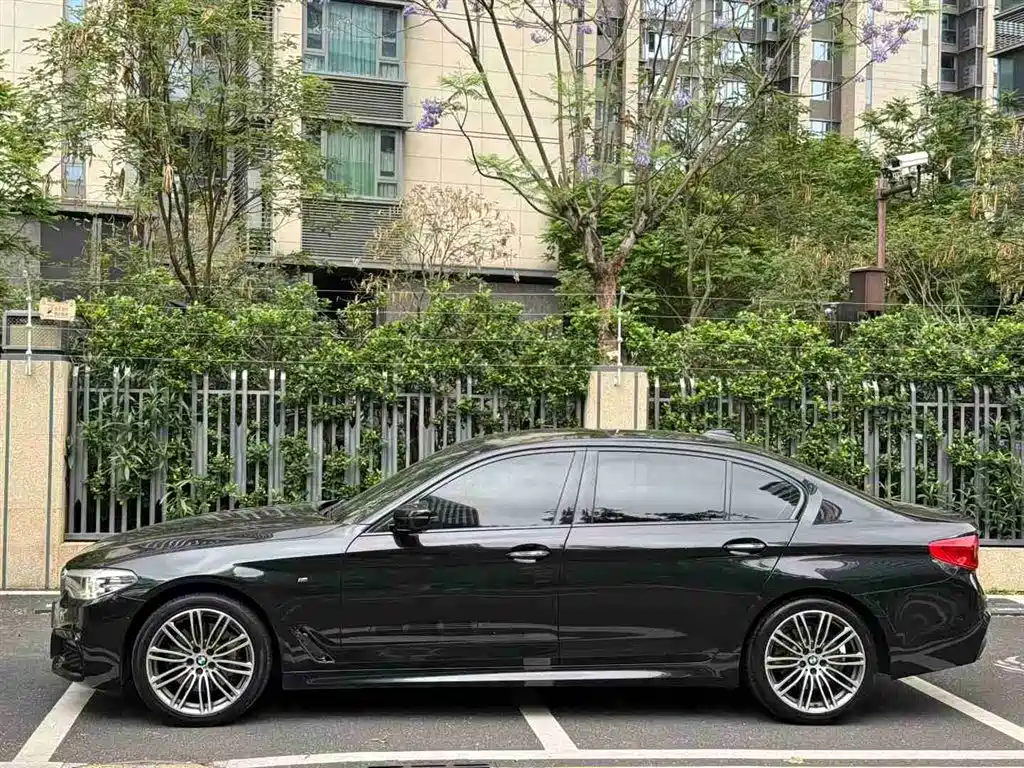 BMW 5 Series 2018 530Li Leading M Sport Package фото 2