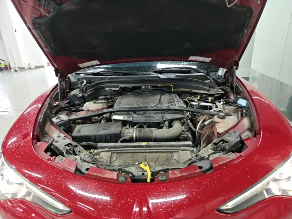 Alfa Romeo Stelvio 2017 2017 2.0T 200HP Elite