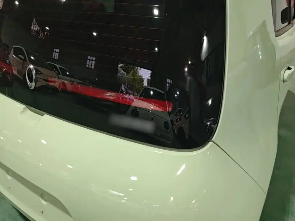 Ora White Cat 2021 2020 305km Luxury