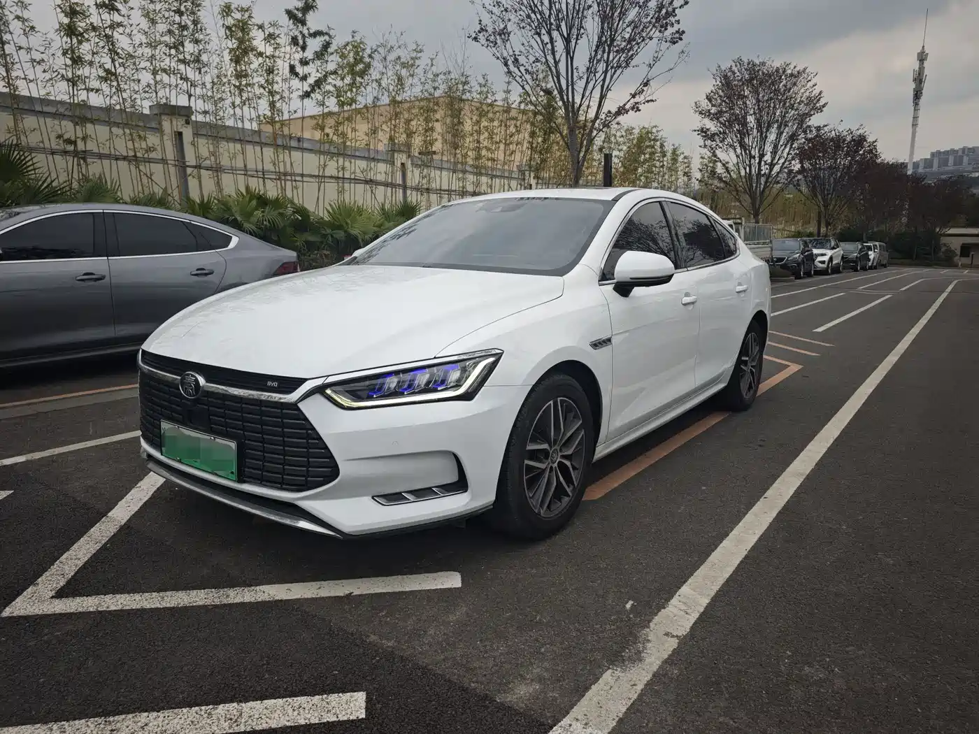 BYD QINHUANGDAO NEW ENERGY