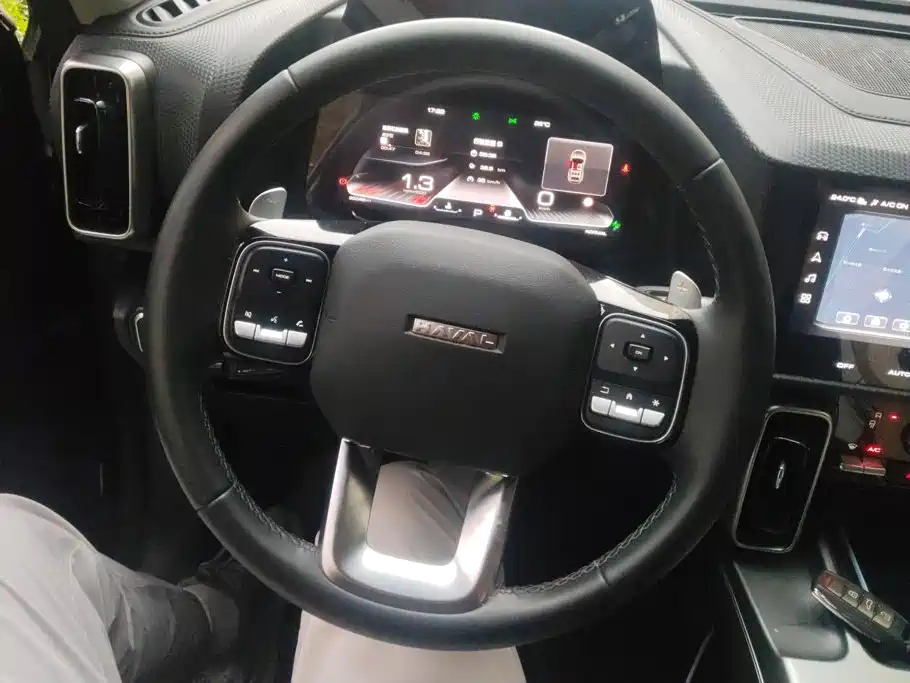 Haval Dargo 2025 2024 1.5T DCT Border Collie Edition