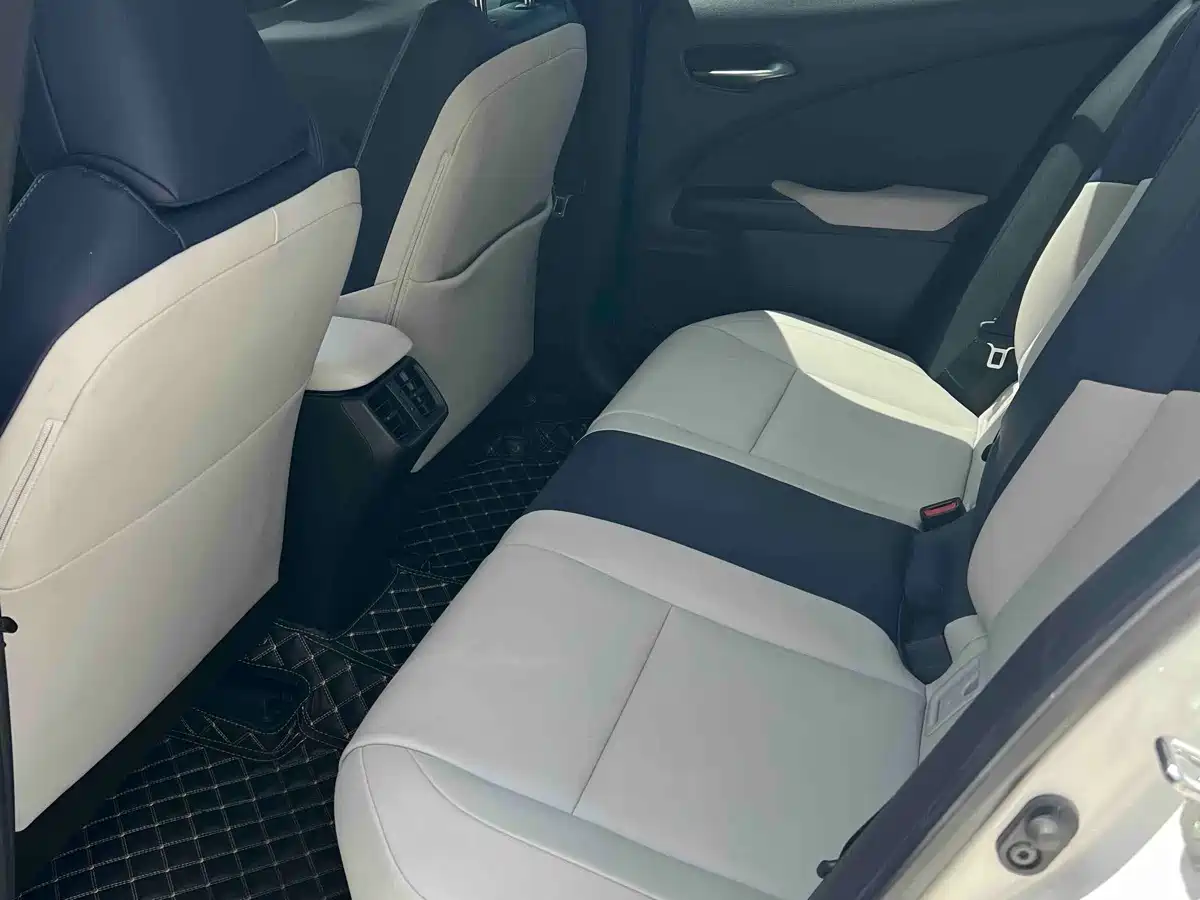 Lexus UX 2021 2022 260h Fun Edition