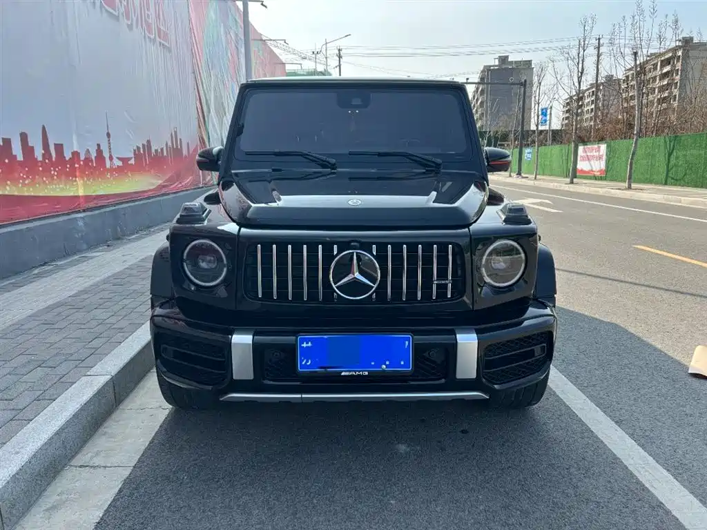 Mercedes-Benz G-Class 2019 G 500 фото 2