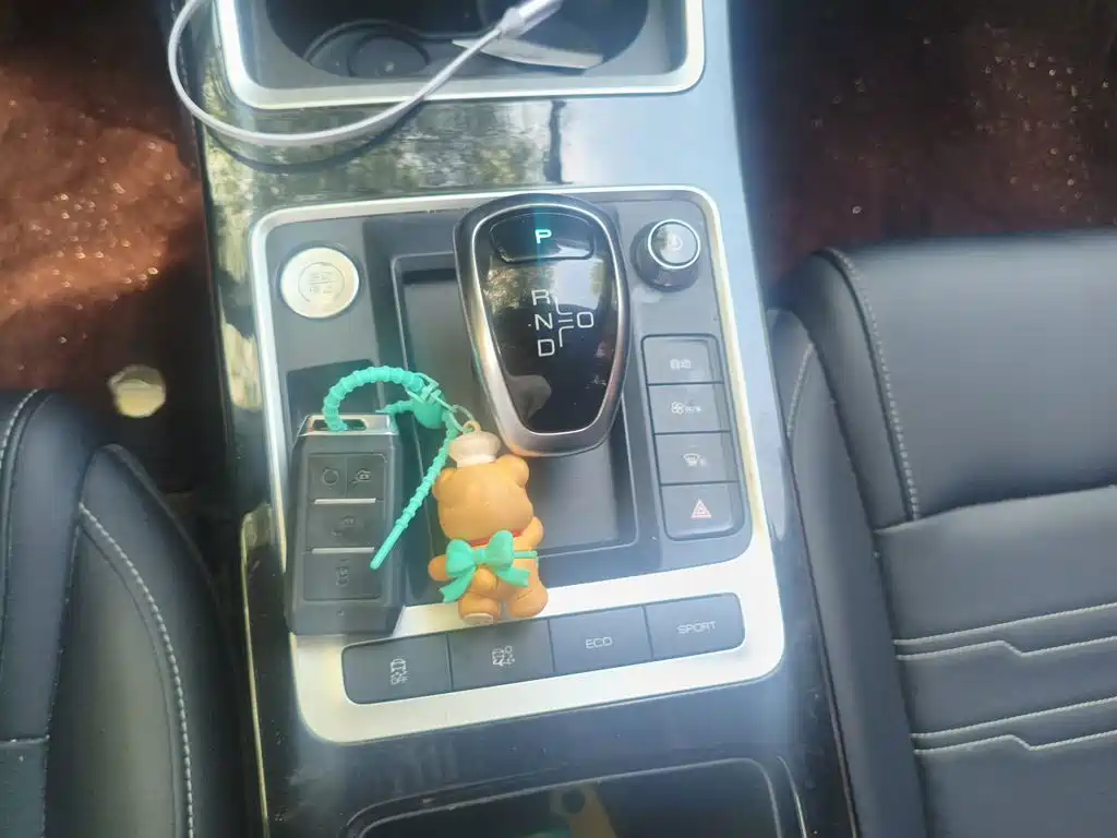 BYD Qin New Energy 2020 2019 Long Range Edition Premium