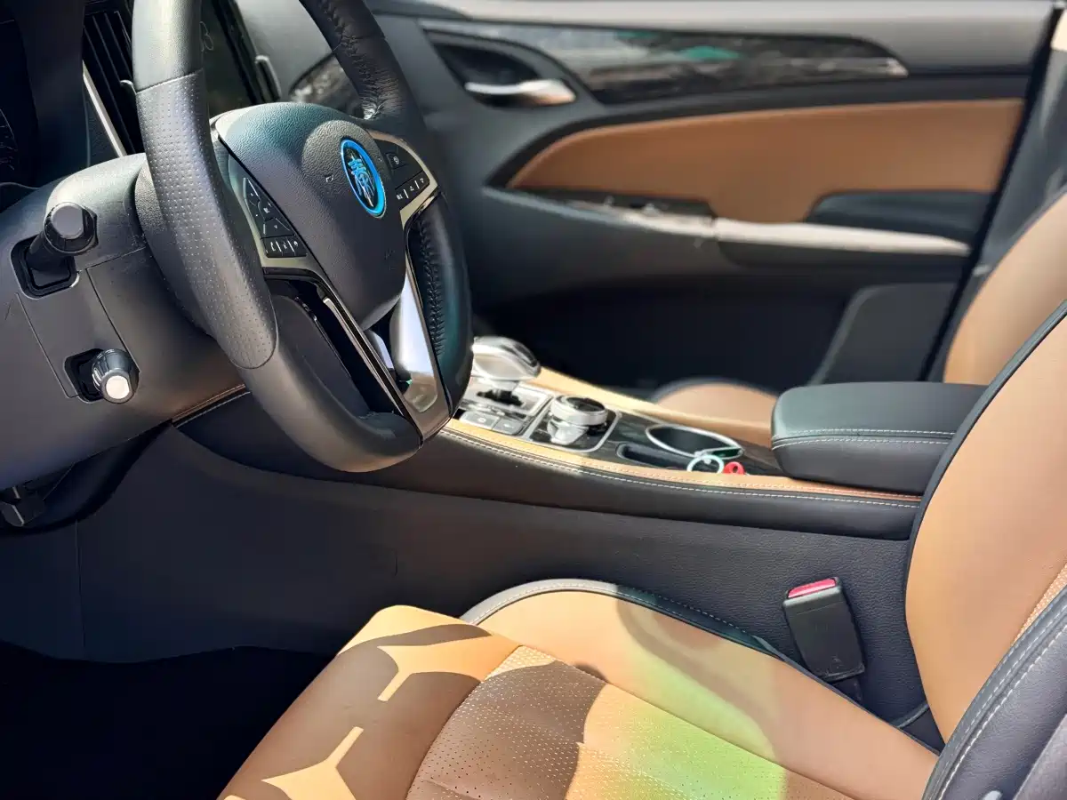 BYD Qin New Energy 2018 2017 1.5T Premium Model