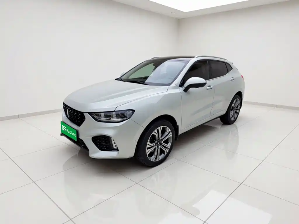 WEY VV5 2017 2017 2.0T Flagship Model