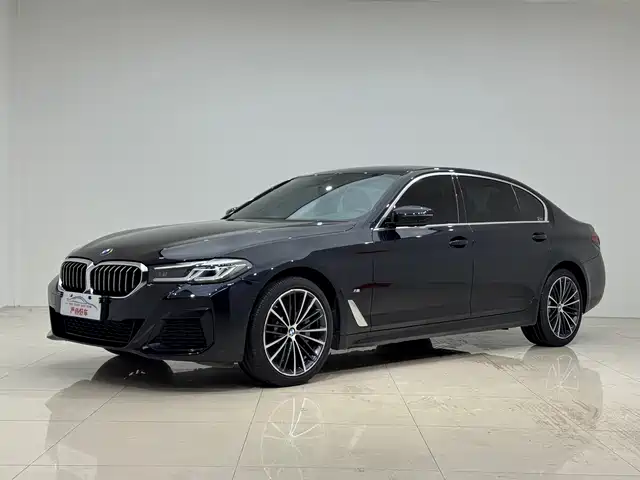 BMW 5 Рестайлинг, 530Li xDrive, M Спорт-пакет