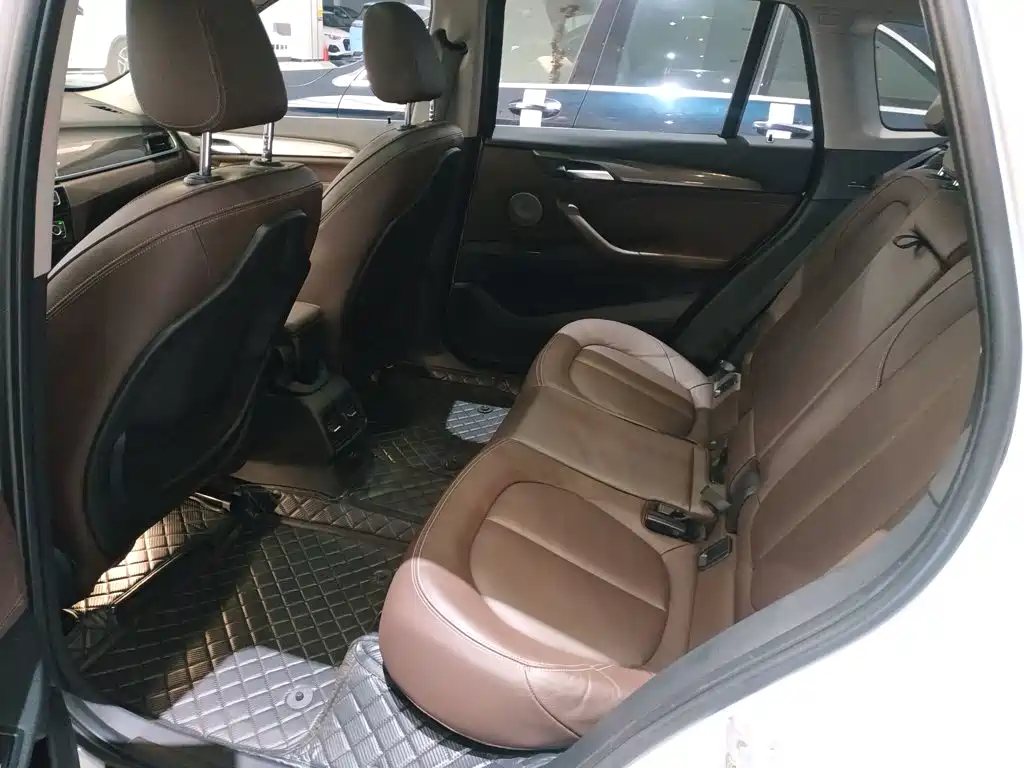 BMW X1 New Energy 2019 2018 xDrive25Le Luxury Model