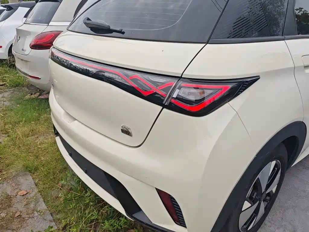 Фото 8 - BYD Dolphin