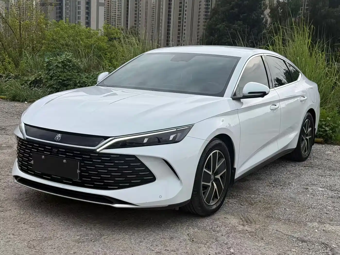 BYD Qin L 2024