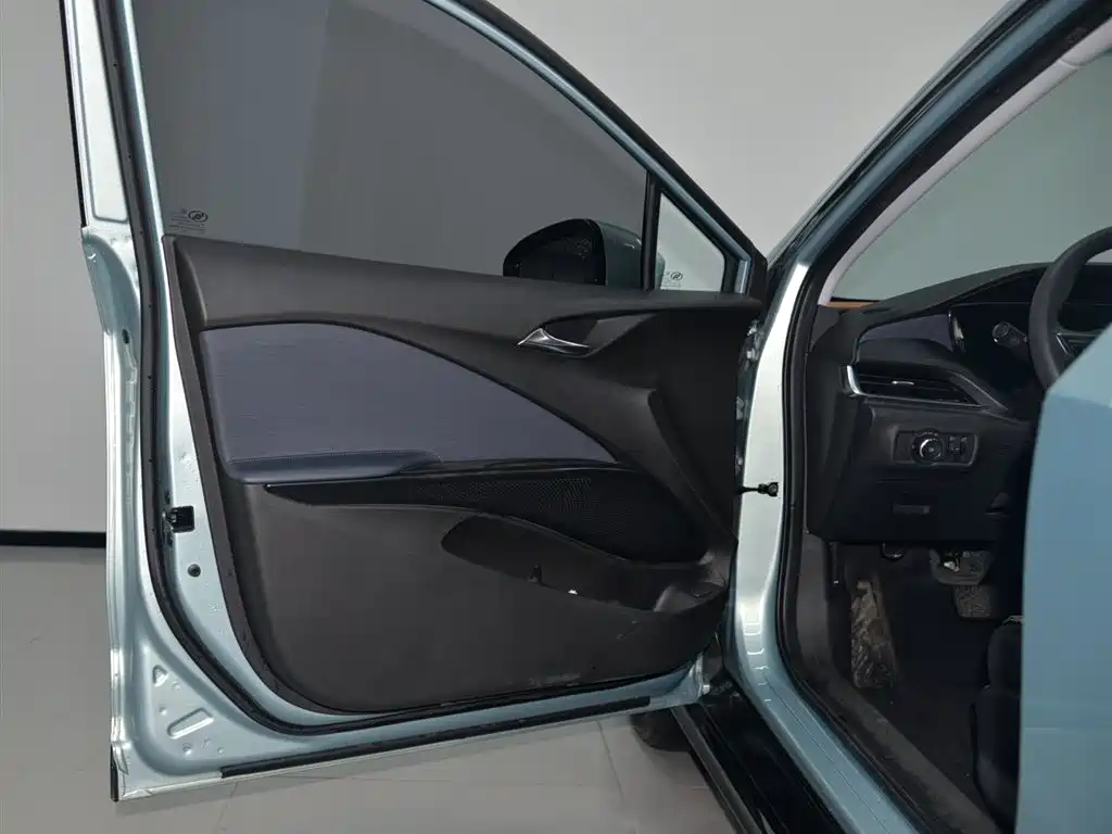 BUICK SLIGHTLY BLUE 6