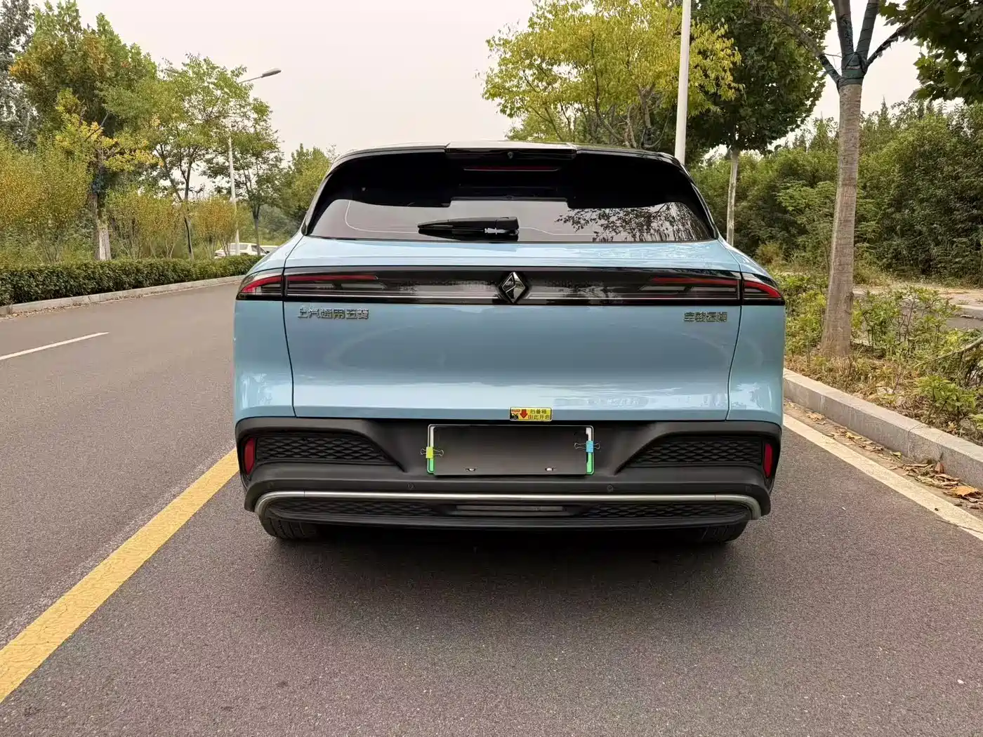 Baojun Yunhai 2024 2024 600km Pure Electric Version