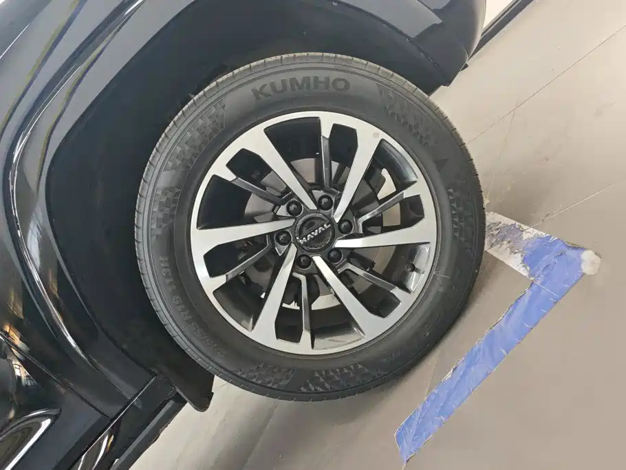 Haval H9 2025 2024 2.0T Gasoline AWD Extreme Edition