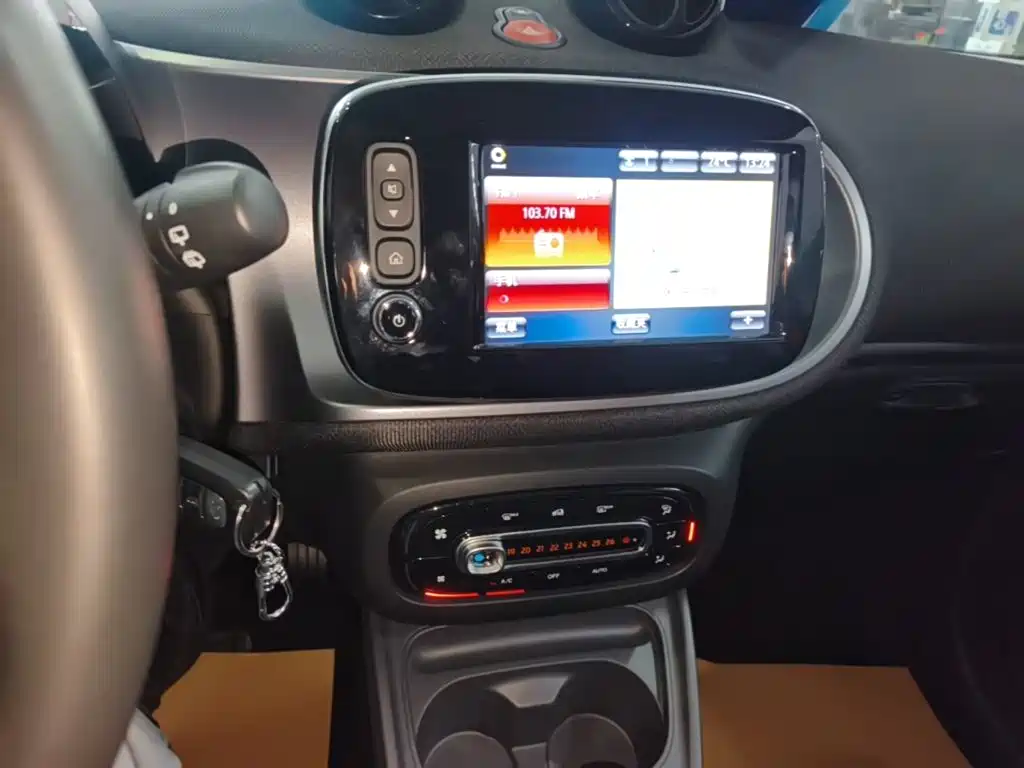 Фото 13 - smart forfour