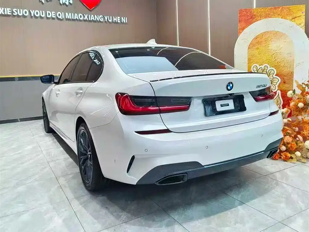 BMW 3 Series 2020 325Li M Sport Package фото 9