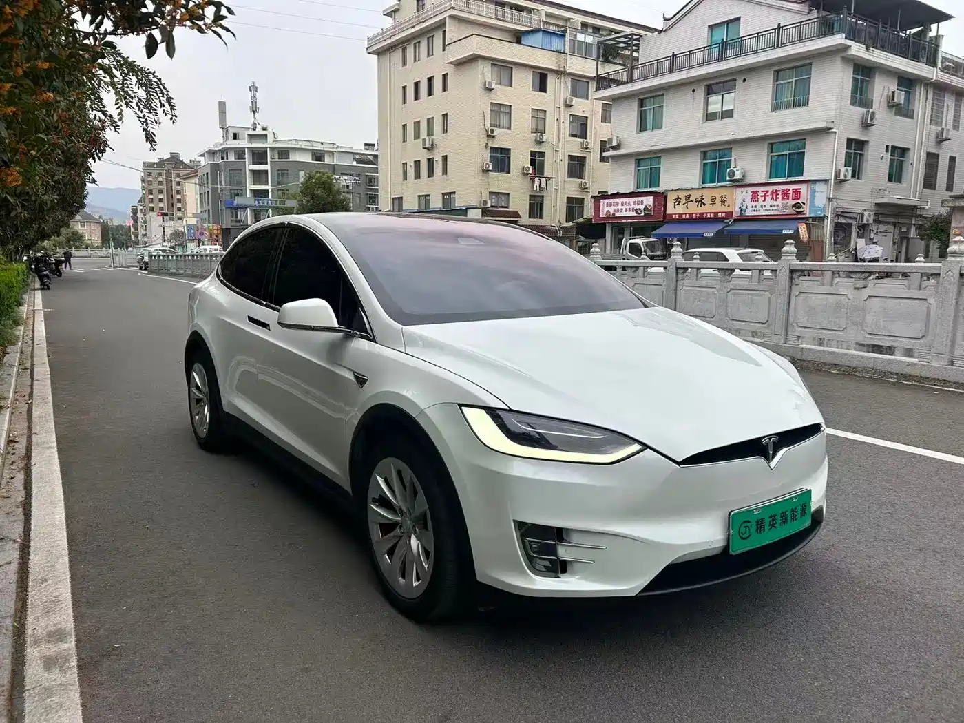 TESLA MODEL X