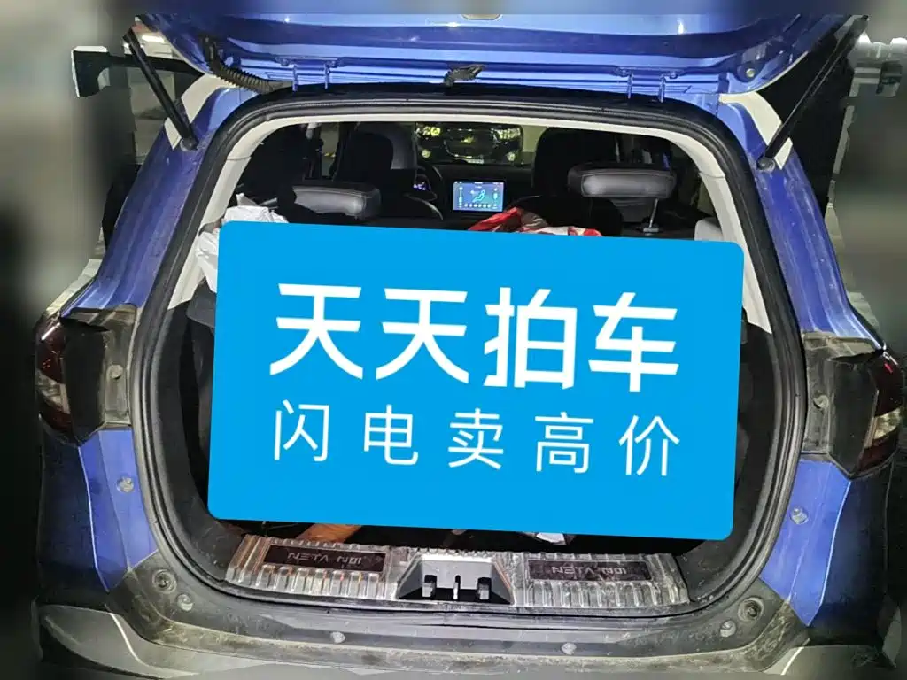 Nezha Auto Nezha N01 2019 2019 380v
