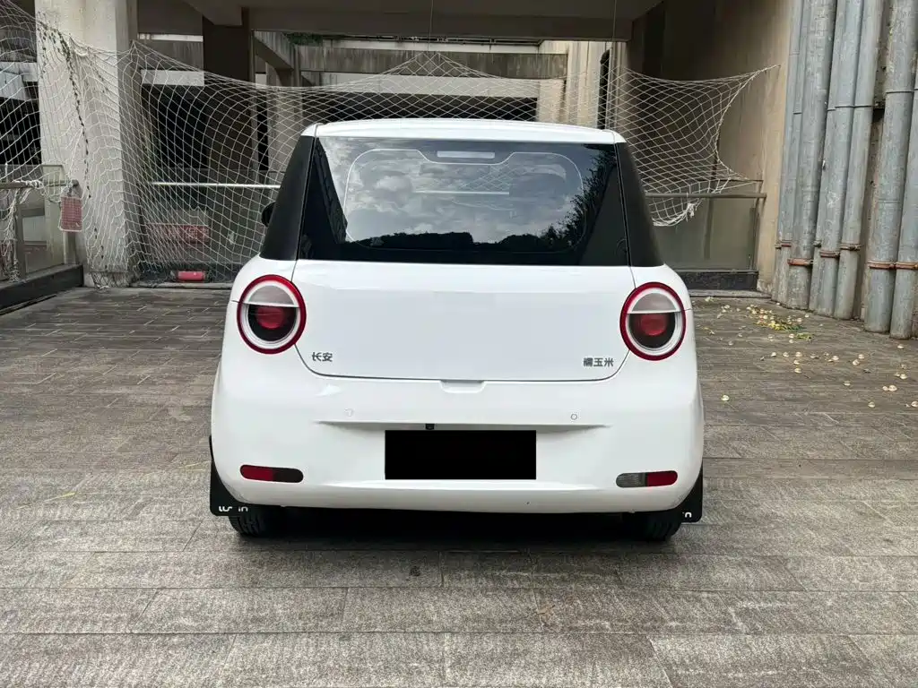 Changan Lumin 2023 2023 Model 205km Fragrant Edition