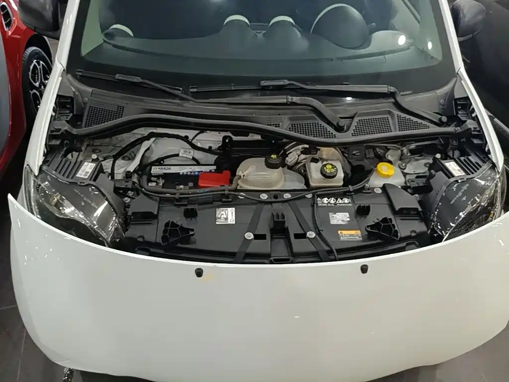 smart fortwo 2018 2018 1.0L 52kW Hardtop Agile Edition China V