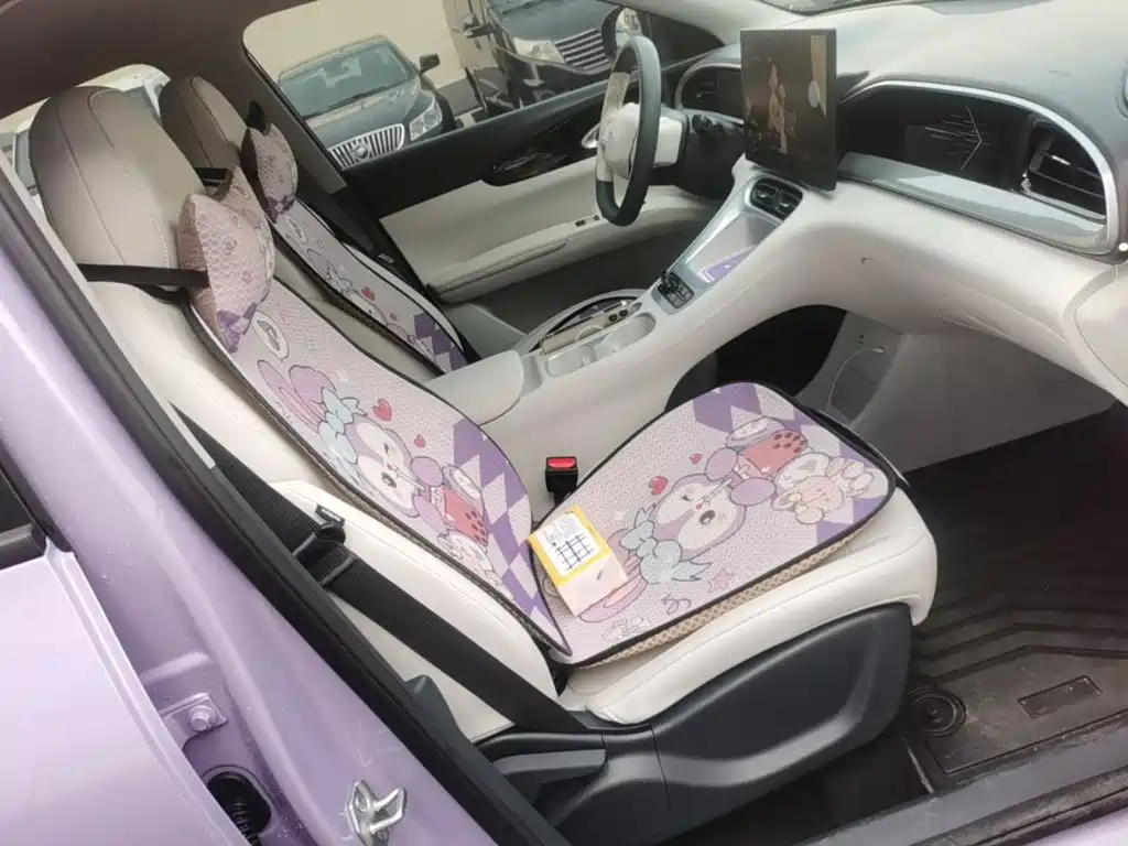 Geely Galaxy Starry Wish 2026 2026 Edition 410km Freedom Version