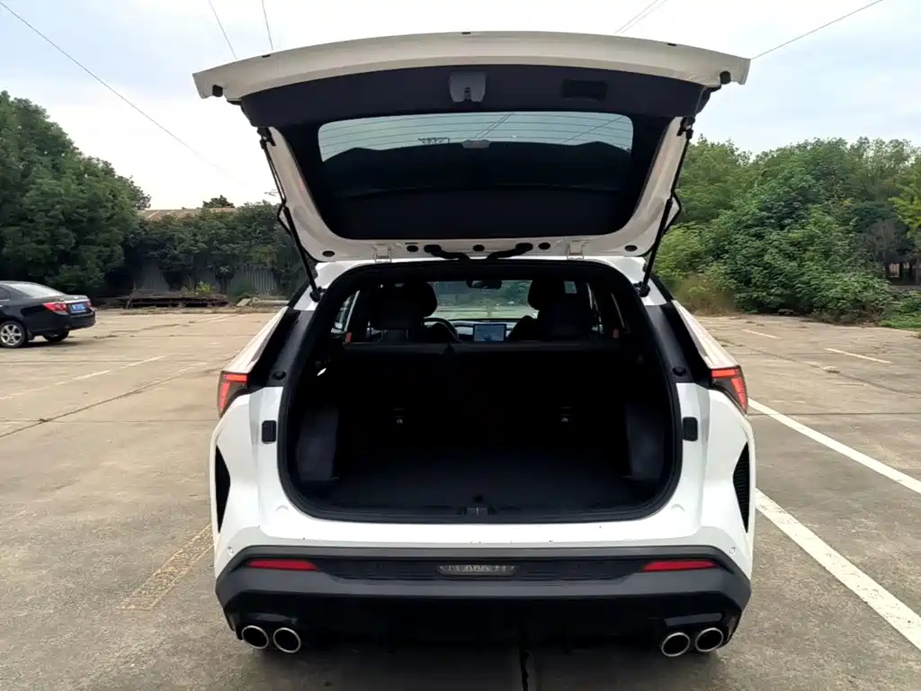 Photo 19 - Geely Atlas