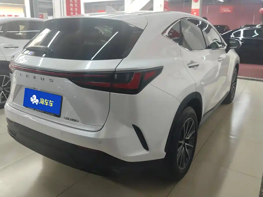 Lexus NX 2023 2022 260 FWD Joy Creation Edition