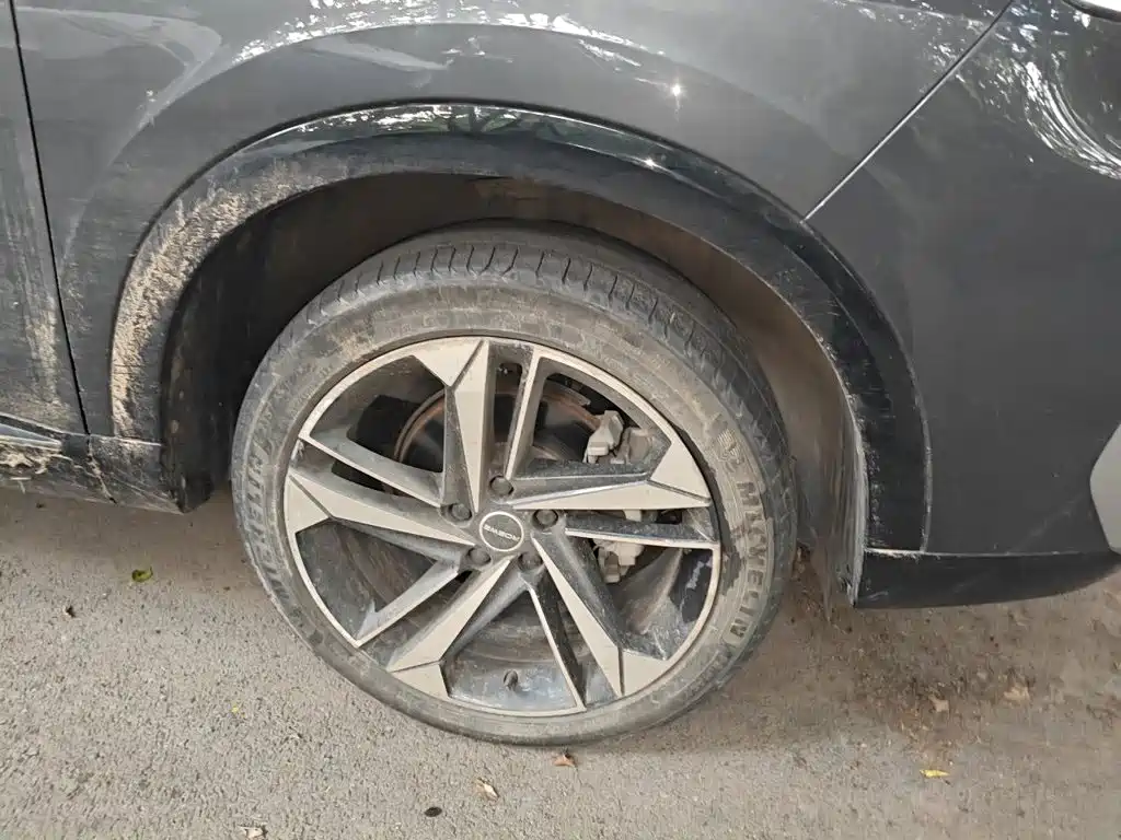 Фото 24 - Roewe RX5 MAX