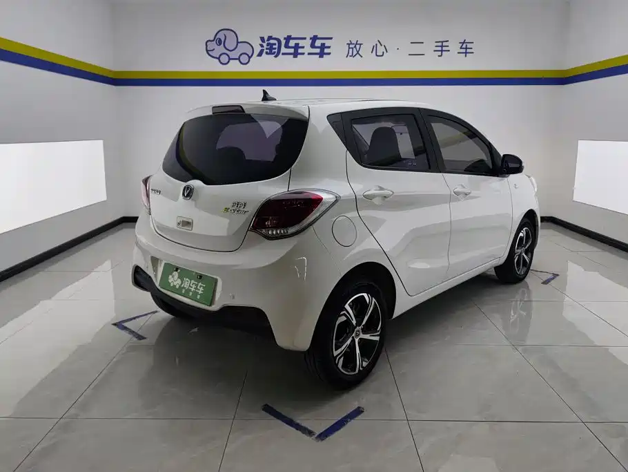Changan Benben E-Star 2022 2022 Appreciation Edition Colorful LFP
