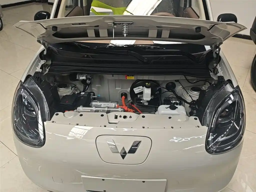 Фото 20 - Wuling Motors Hongguang MINIEV