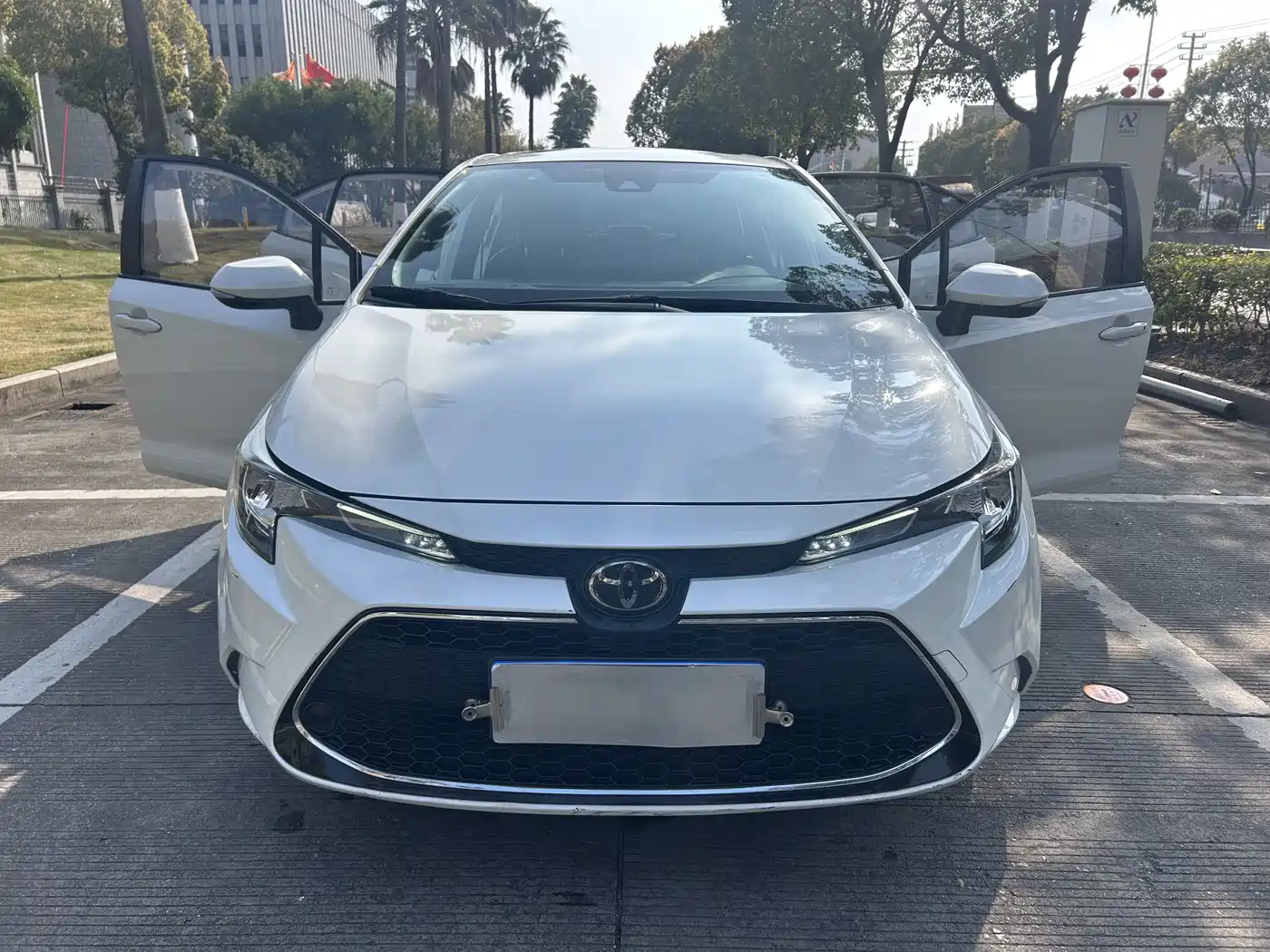 Toyota Levin 2019 185T CVT Luxury Edition China V