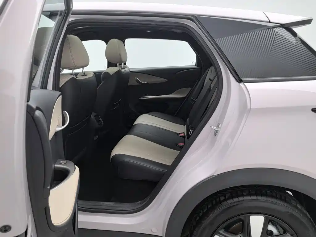 BYD Dolphin 2026 2025 Smart Drive Edition 410km Fashion Version