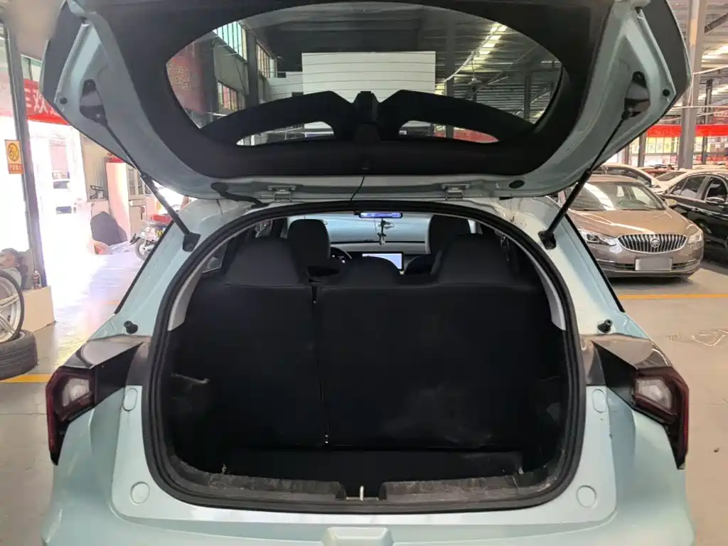 Geely Geometry E Firefly 2024 2024 Model 301km Light Flow
