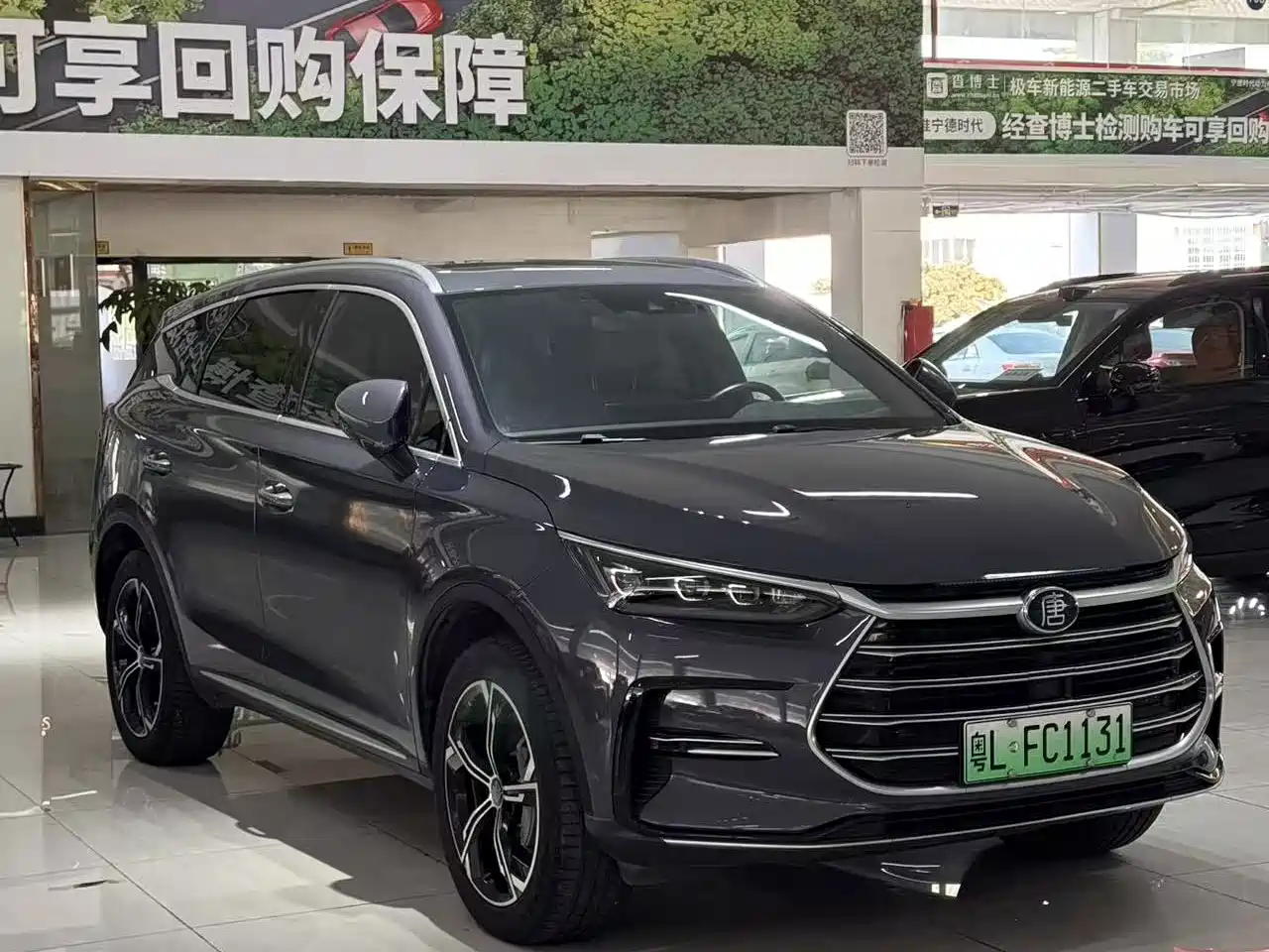 صورة 17 - BYD Tang New Energy