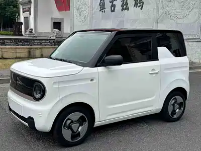 Geely Panda
