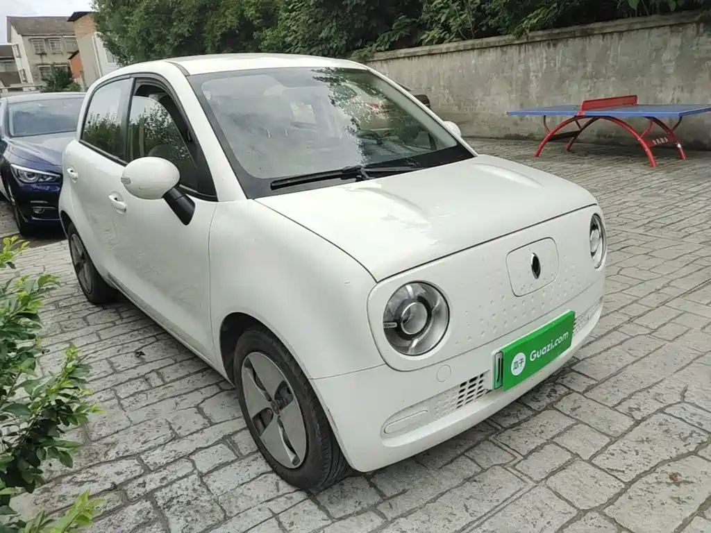 Ora Black Cat 2019 2019 Model 351km Smart Fun Edition