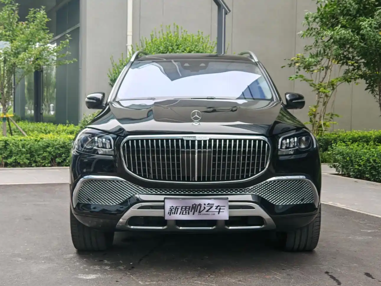Mercedes-Benz Maybach GLS 2021 GLS 480 4MATIC фото 2