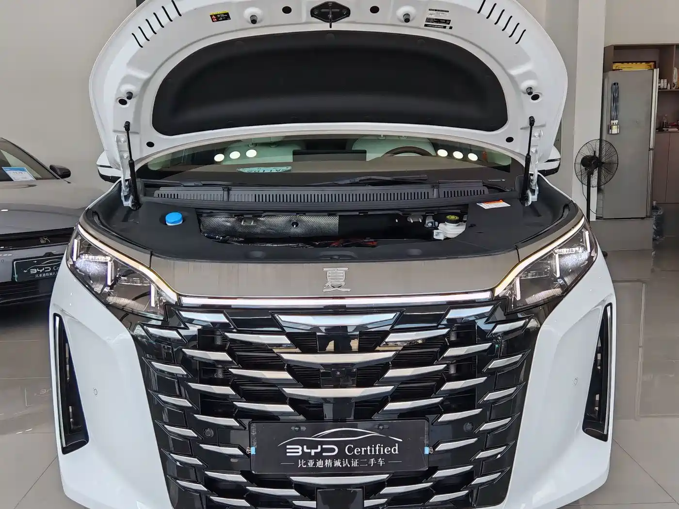 BYD Xia 2025 2025 DM-i 1.5T 180km Surpass Edition
