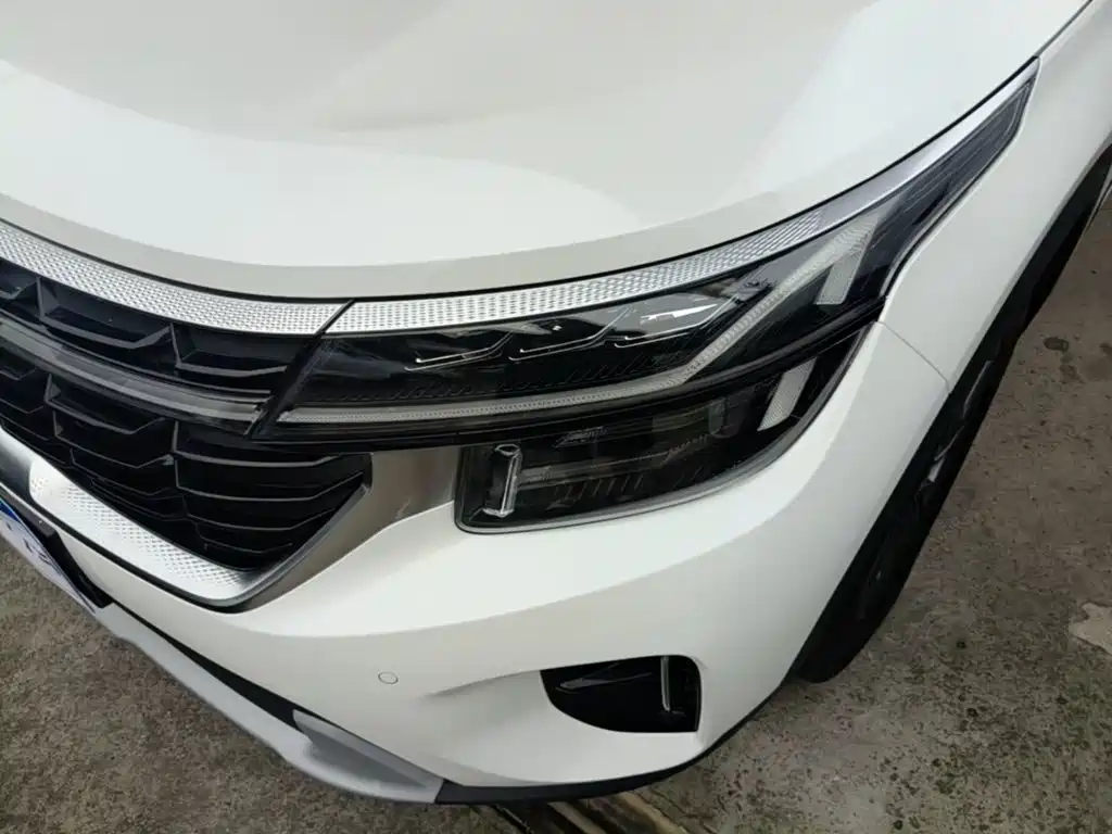 Kia Seltos 2024 2023 1.5L CVT Luxury Edition