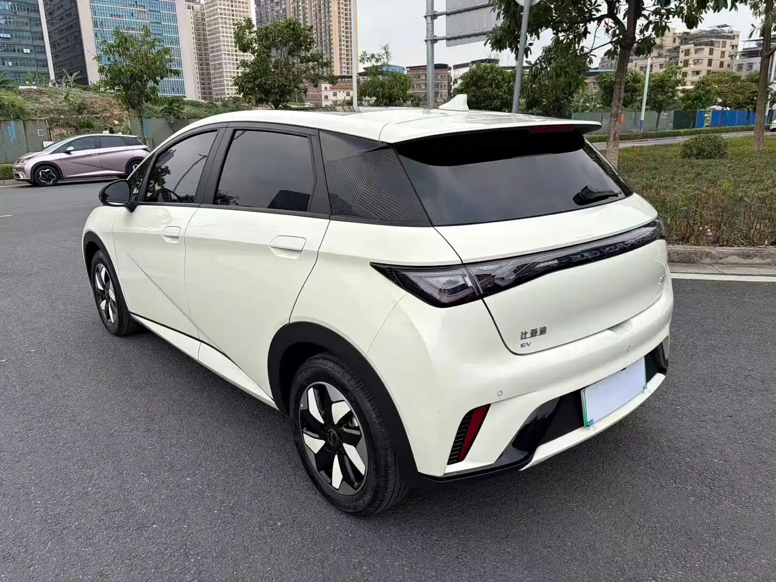 Фото 4 - BYD Dolphin