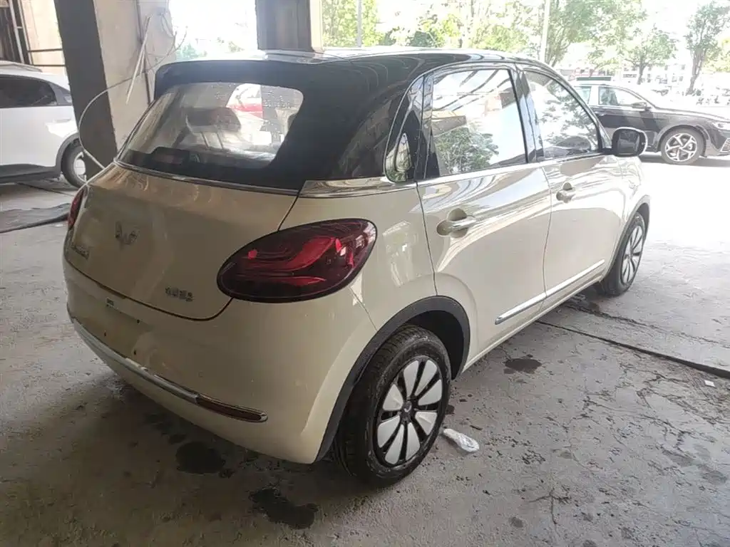 Wuling Motors Wuling Bingo 2026 2025 Model 333km Joy Edition