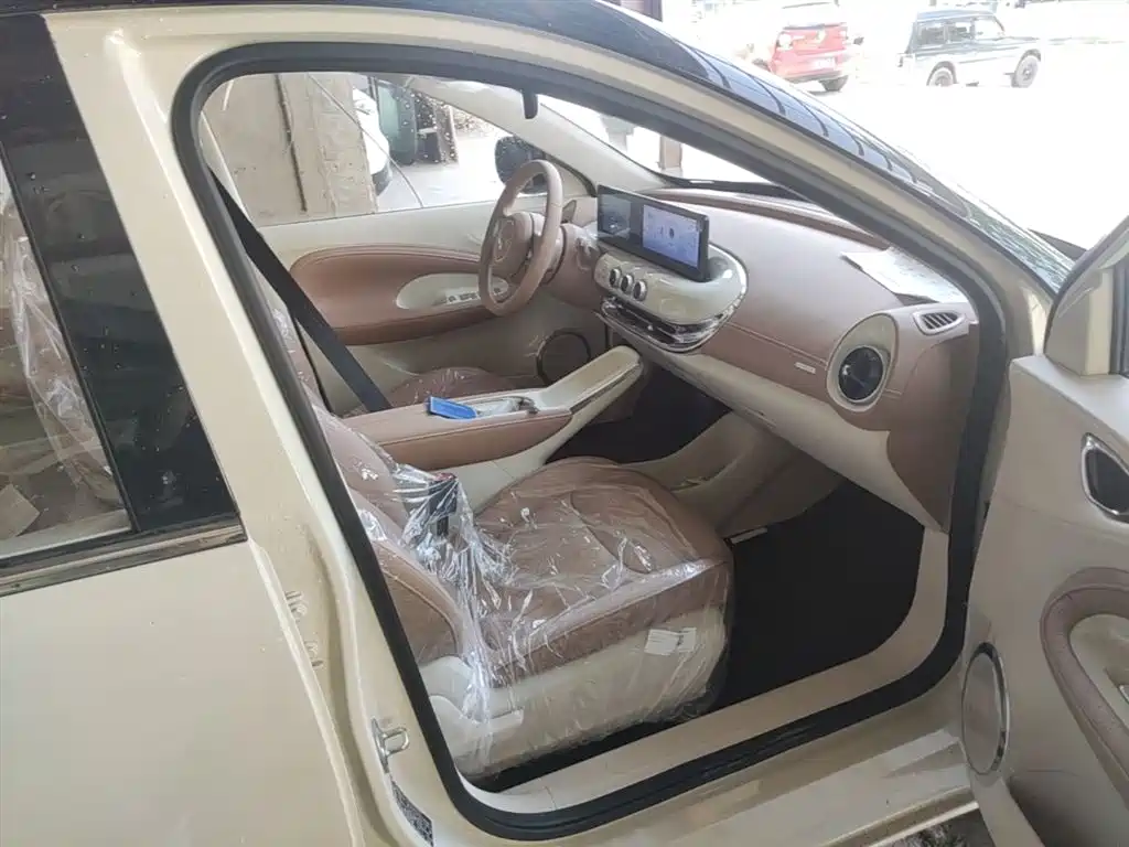 Wuling Motors Wuling Bingo 2026 2025 Model 333km Joy Edition
